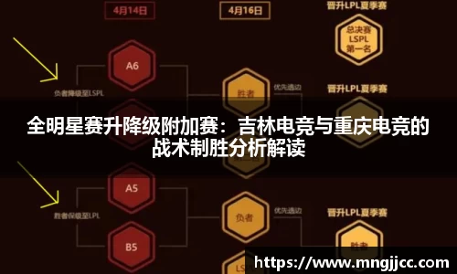 BG视讯APP